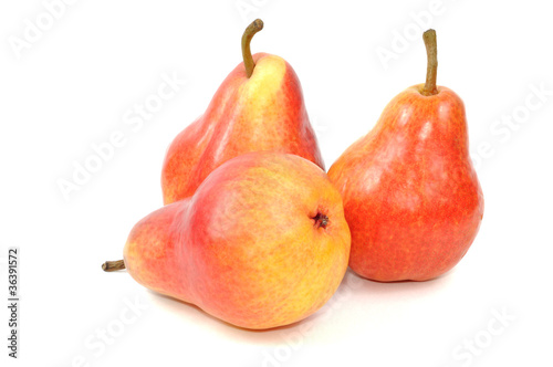 Tree red pears