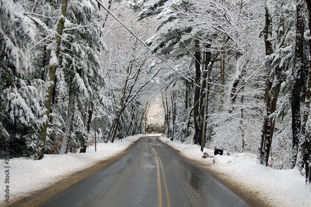 Obraz premium The Snowy Road