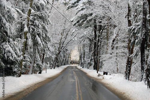 The Snowy Road