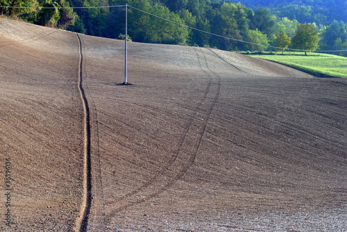 Field sown with wheat in Tuscany hill farmlands photo