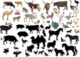 large set of farm animals