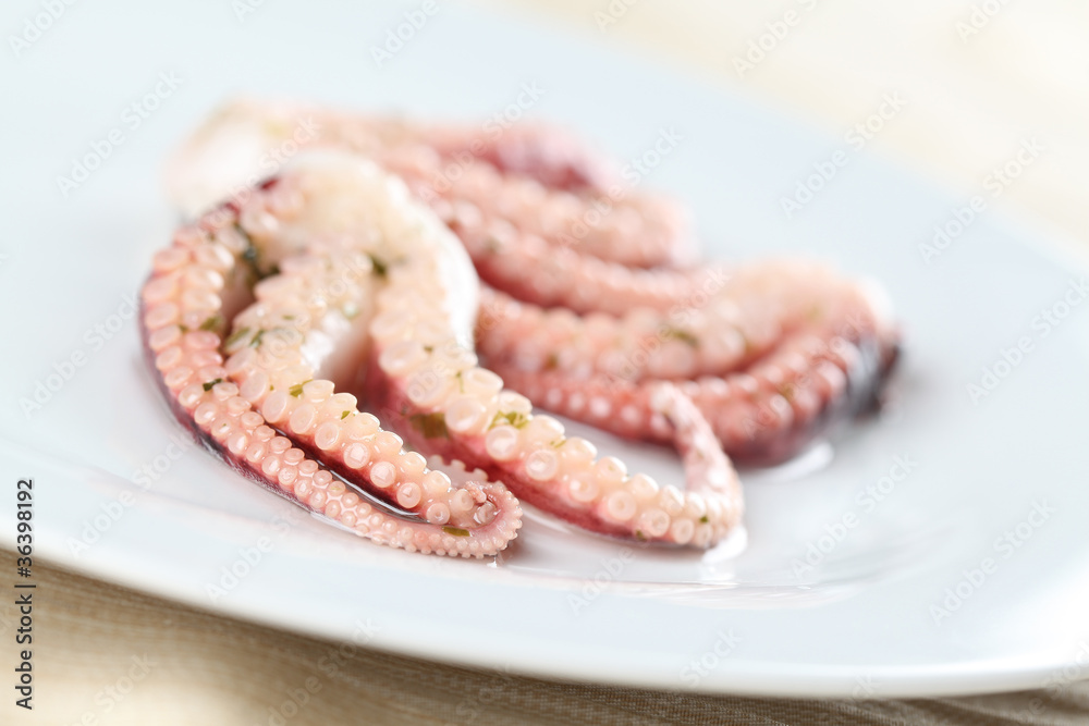 Octopus tentacles on a white plate Octopus tentacles on a white plate