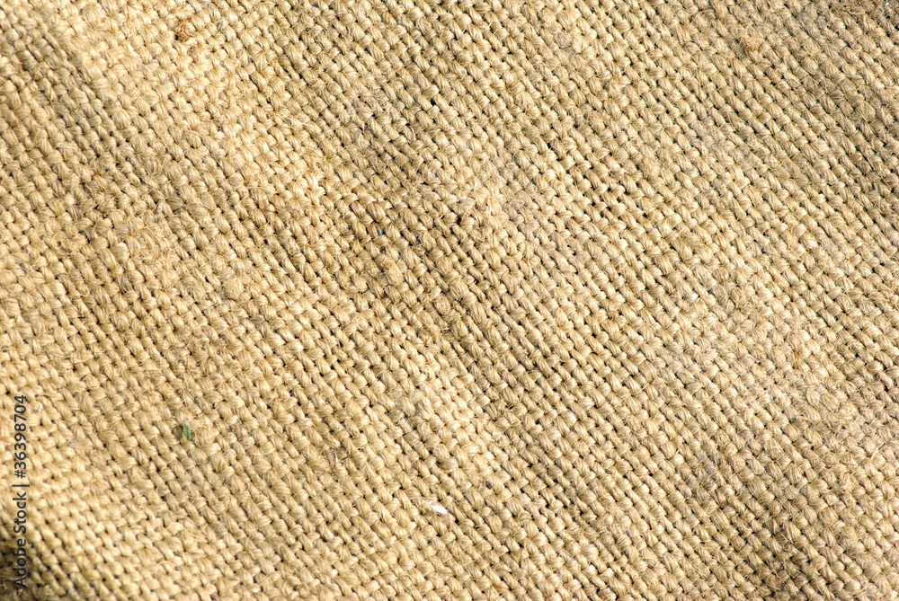 canvas canvas
