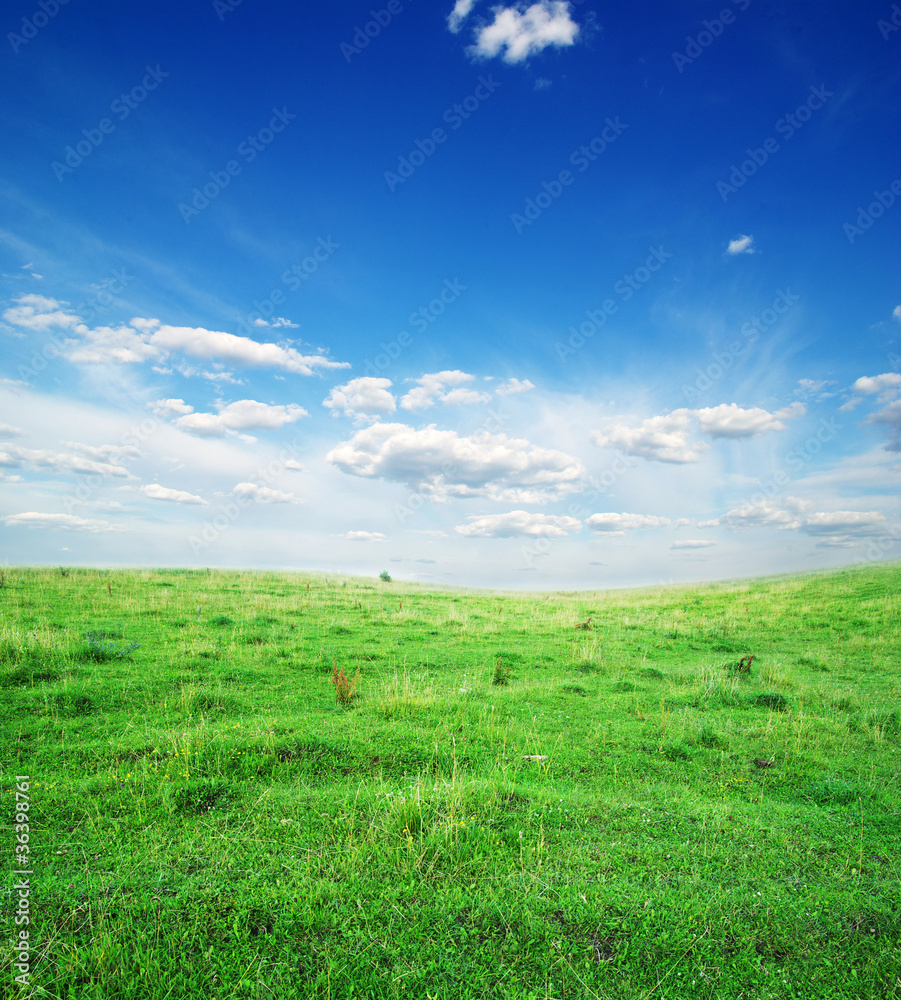 field field