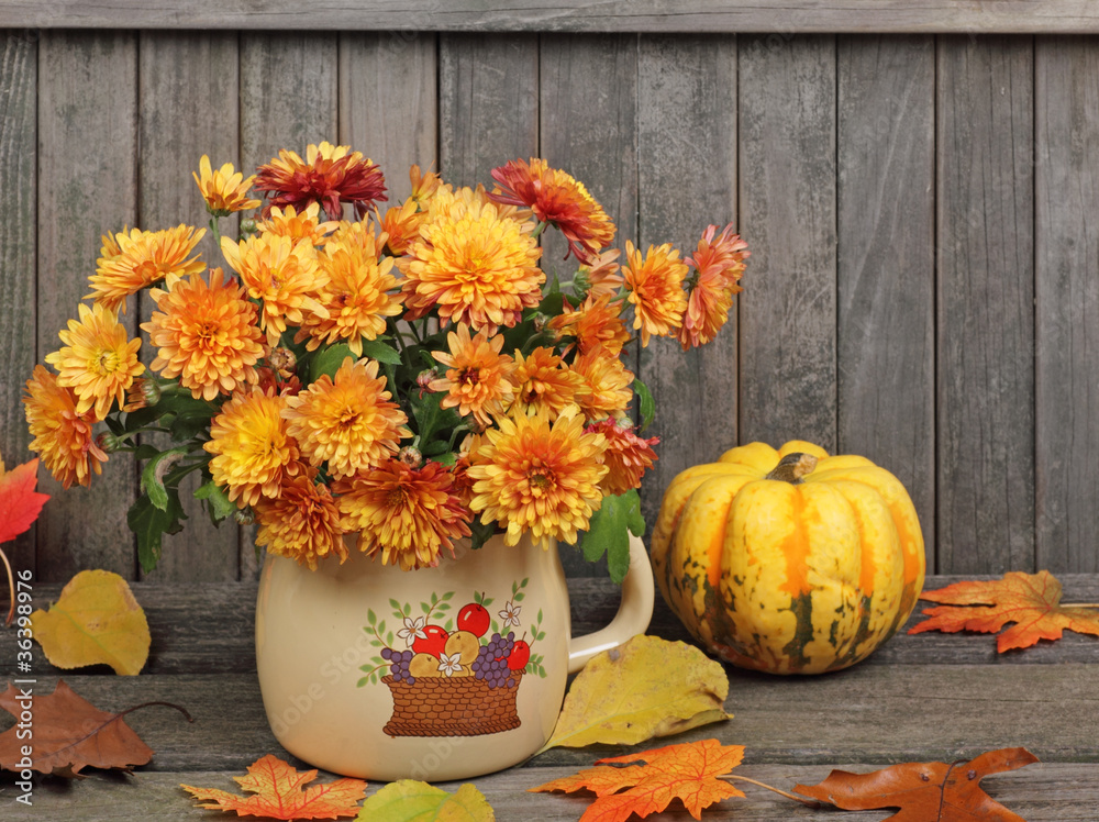 Autumn Mums Autumn Mums