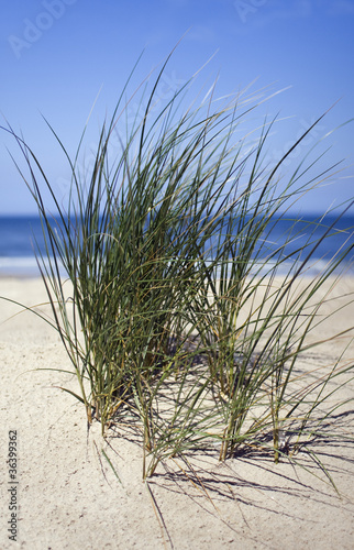 Nordsee