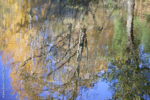Reflections in water.