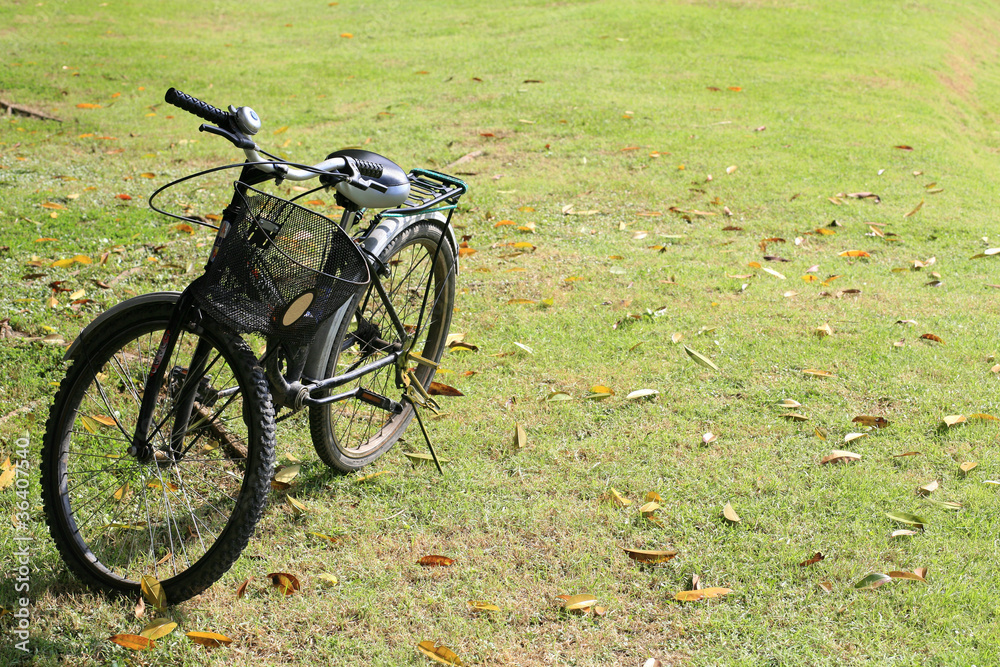 Bicycle parked on the grass field