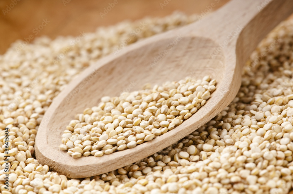 Quinoa grain Quinoa grain