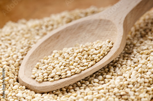 Quinoa grain