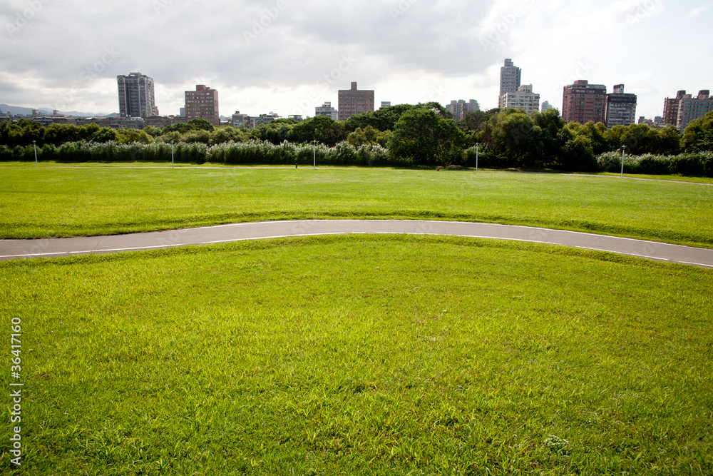 green field and the city