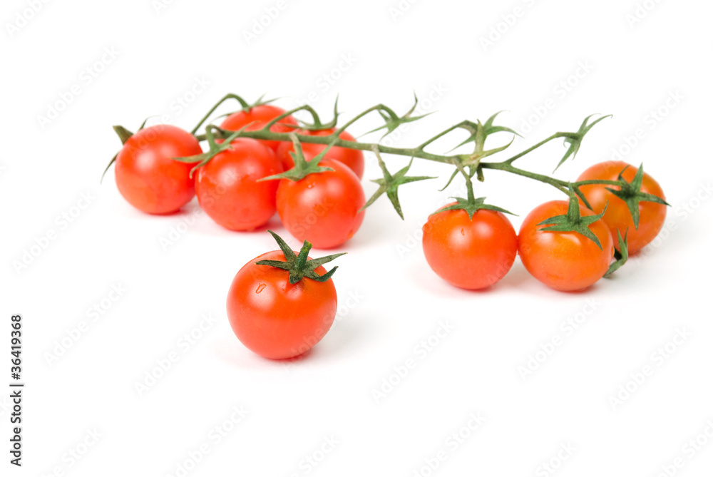 fresh tomatoes on white