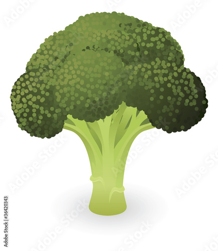 Broccoli illustration