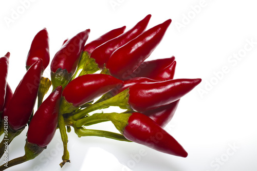 The hot pepper