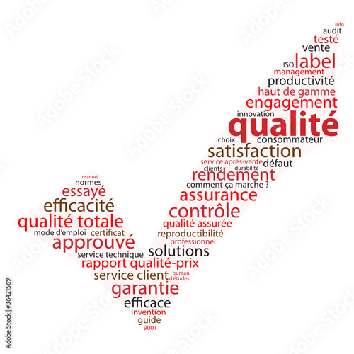 Nuage de Tags QUALITE (coche symbole icône bouton satisfaction)