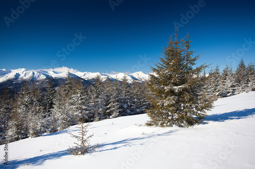 Winter mountains © Maygutyak