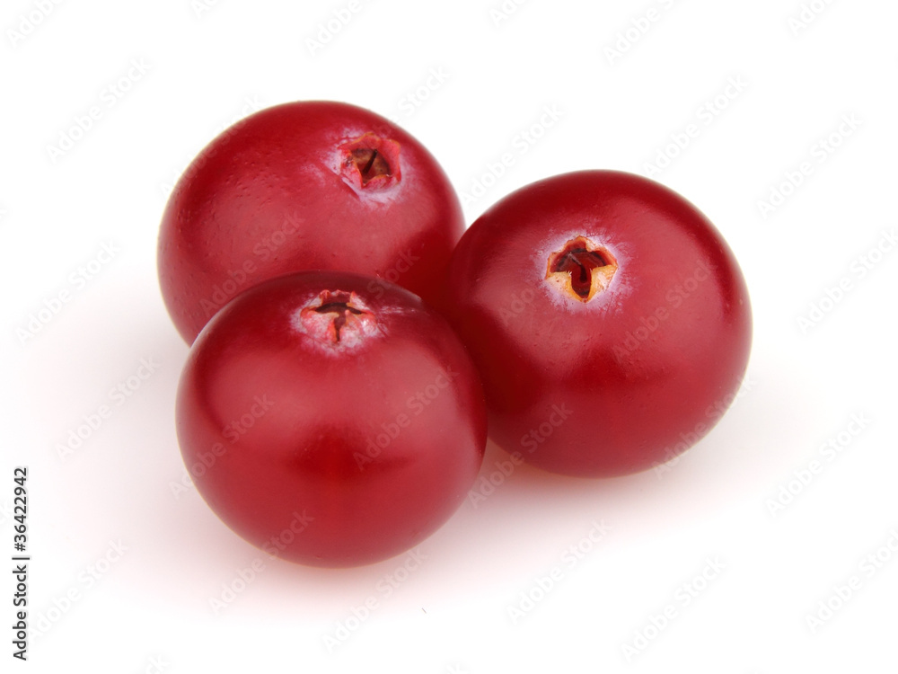 Fresh cranberry Fresh cranberry