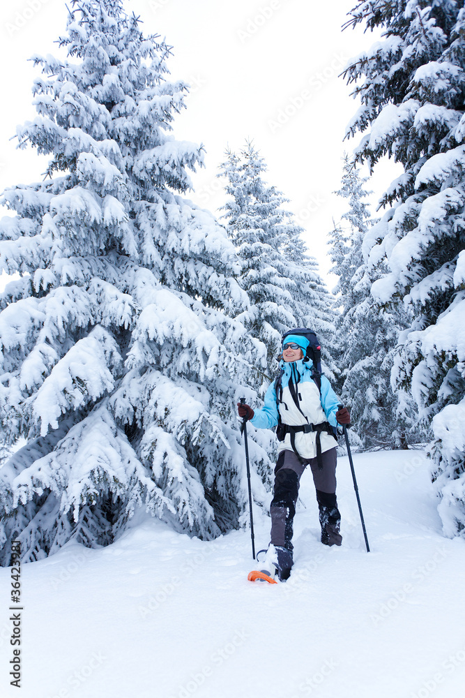 Hiker walks in snow forest Hiker walks in snow forest