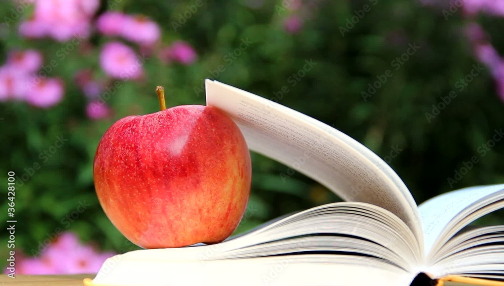 Apple on a book - relax in garden
