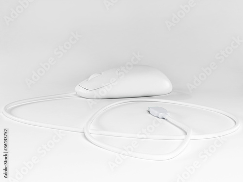 computer mouse on white background