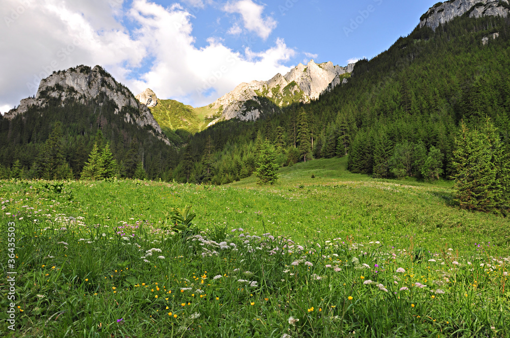Góry