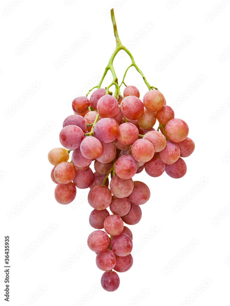 Fototapeta premium grapes isolated on white background