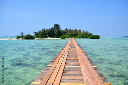 Bridge to the Tropical Island
