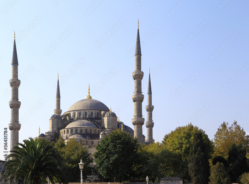 The Blue Mosque, Istanbul (Turkey)