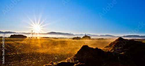 Morning Sun At Wheat Farm