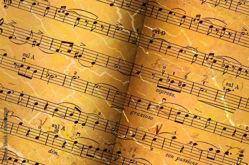 Fototapeta premium Notenblatt