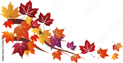 falling leaves