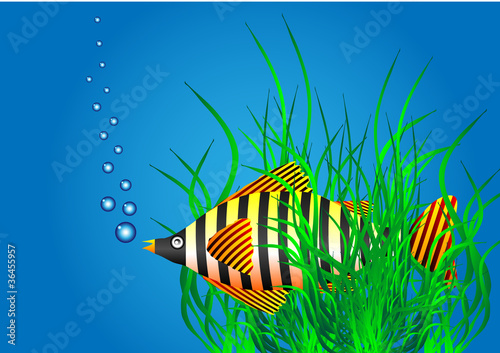 Sea life