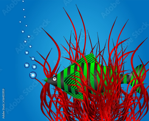 Sea life