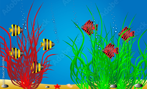 Sea life
