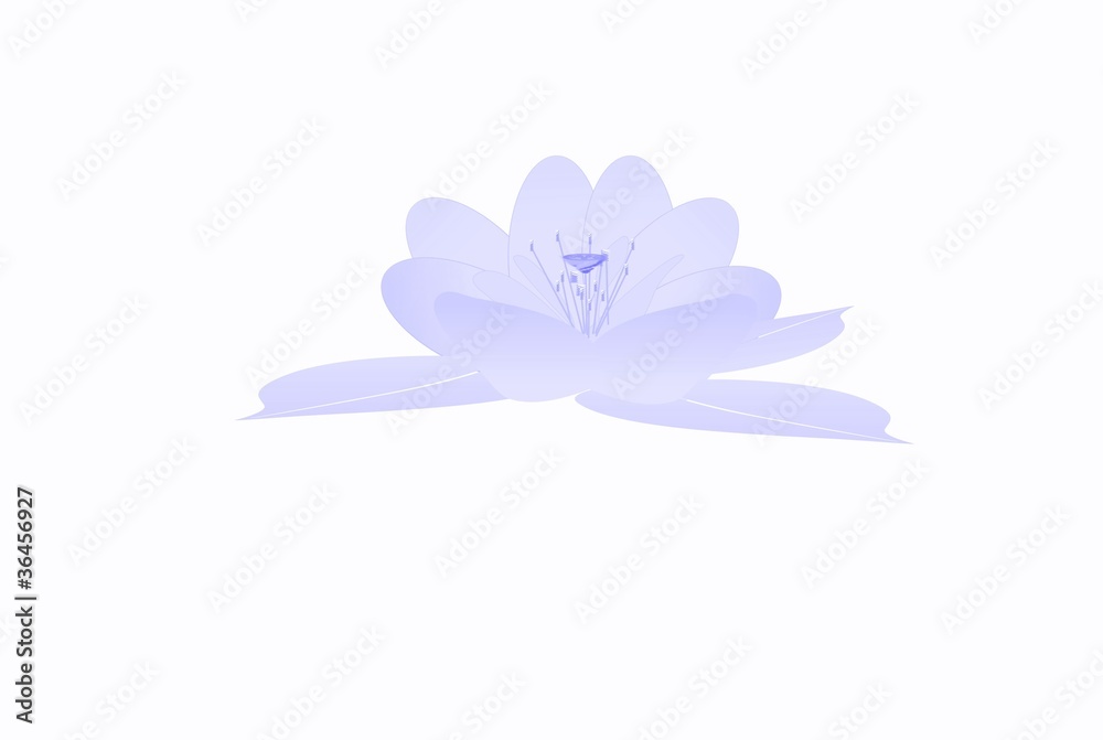 He Xiangu Lotus Symbol Freisteller
