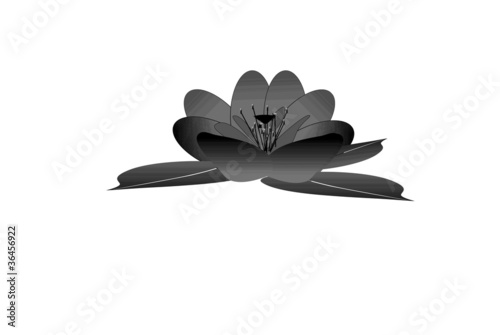 He Xiangu Lotus Symbol Freisteller photo