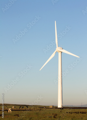Wind turbine © Squareplum