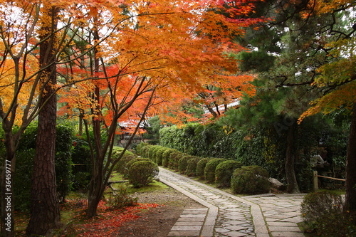 A way in a japanese garden in Kyoto during the fall