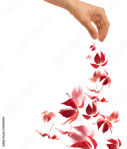 hand throwing red leaves