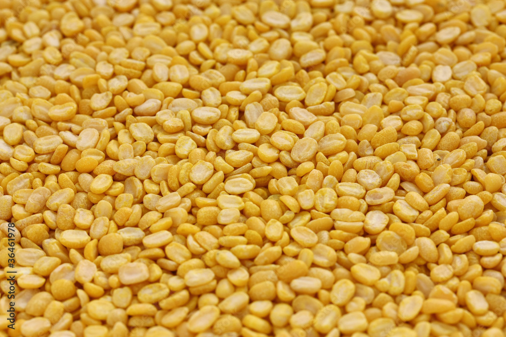 yellow moong dal, skinned and split mung bean yellow moong dal, skinned and split mung bean