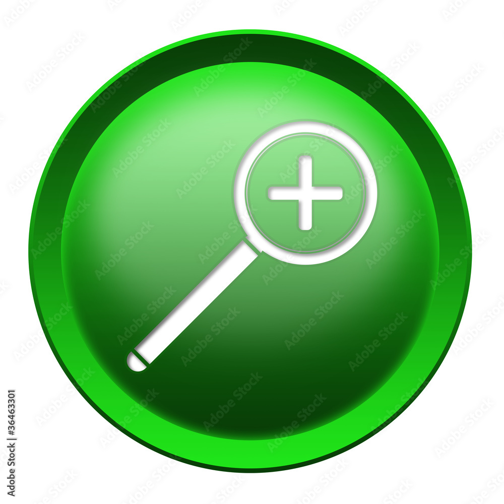 Magnifier button Magnifier button