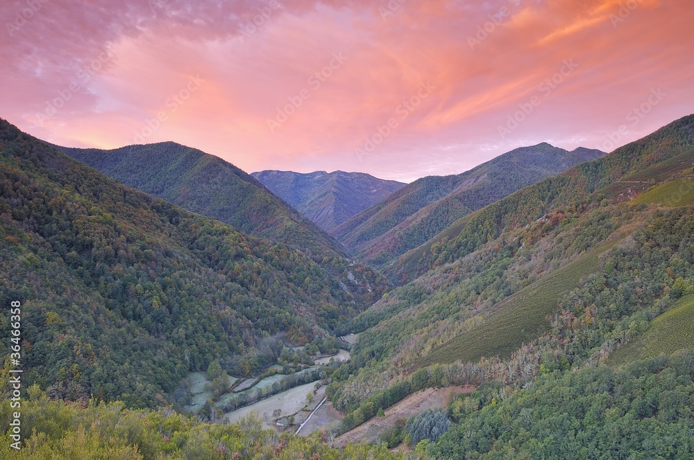 Fototapeta premium Amanecer en el bosque de Muniellos.