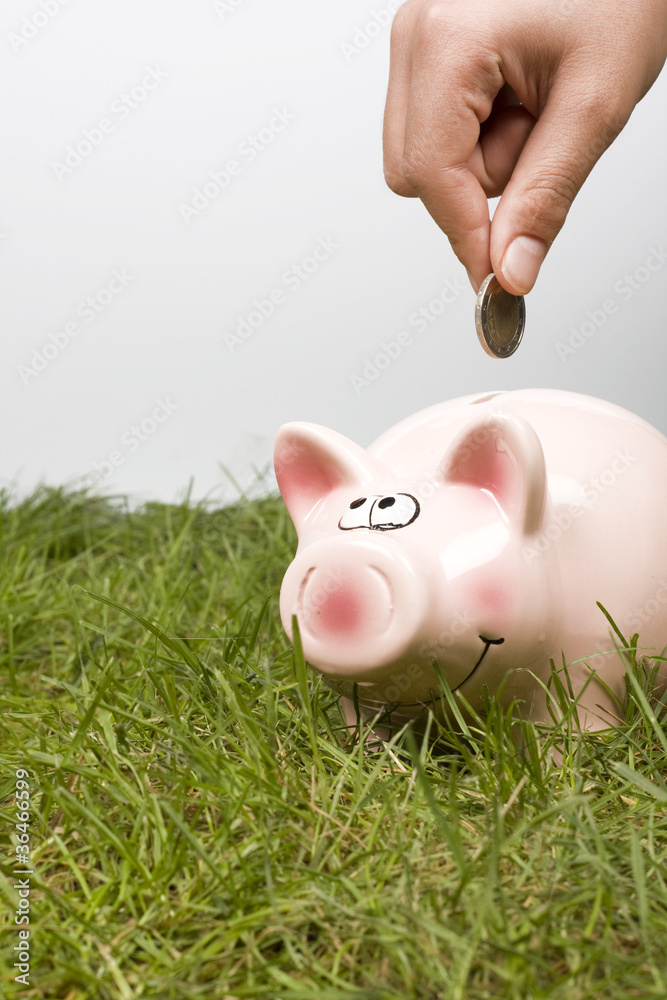 piggy banking