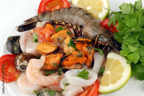 CONDIMENTO DI PESCE CON MAZZANCOLLO DUE photo