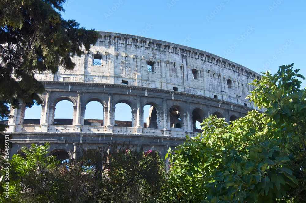 Coliseo romano rodeado de vegetación