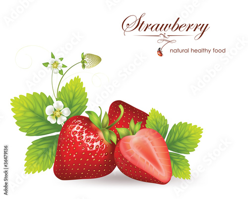 strawberries. vector illustration of a realistic