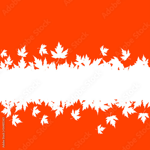 Autumn leaves background with plank border