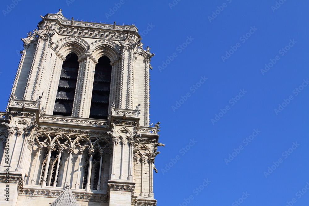 Notre Dame Cathedral - Paris