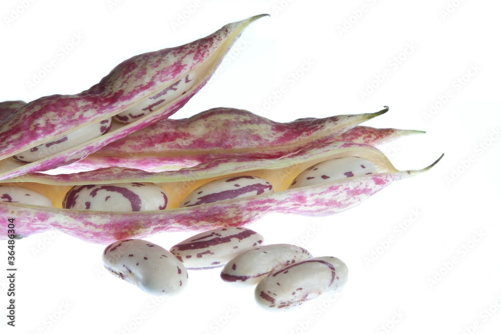 Podded Borlotti Beans Podded Borlotti Beans