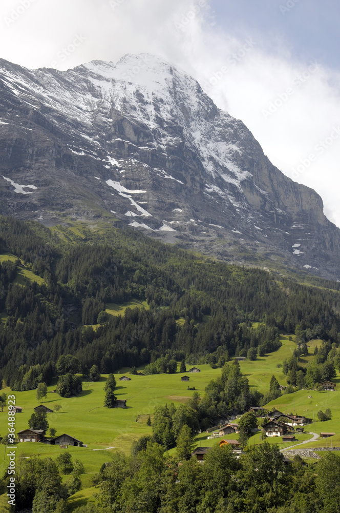 Chalets in fields beneath Eiger in Switzerland Chalets in fields beneath Eiger in Switzerland